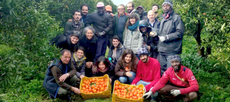 Orangen-Gruppe Foto SOS Rosarno